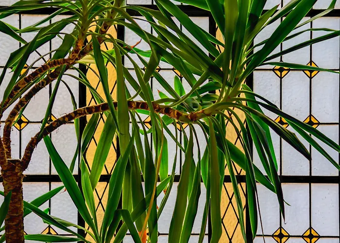 Principe Real Hotel 4*